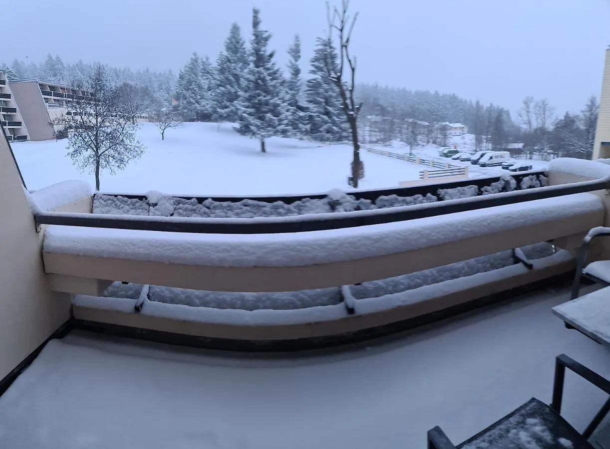 King Apartment Luftkurort Bayerischen Wald Sankt Englmar